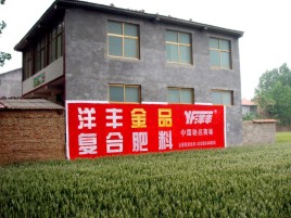 文成如何让墙体广告展现最大化效果
