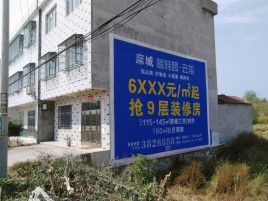 文成墙体广告质量分析