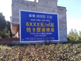 文成品牌公司青睐的墙体广告