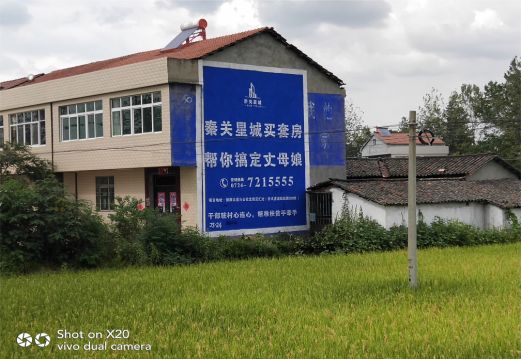 文成决定墙体广告价格的因素有哪些?