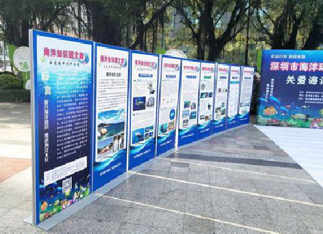 文成KT板的种类和知识。